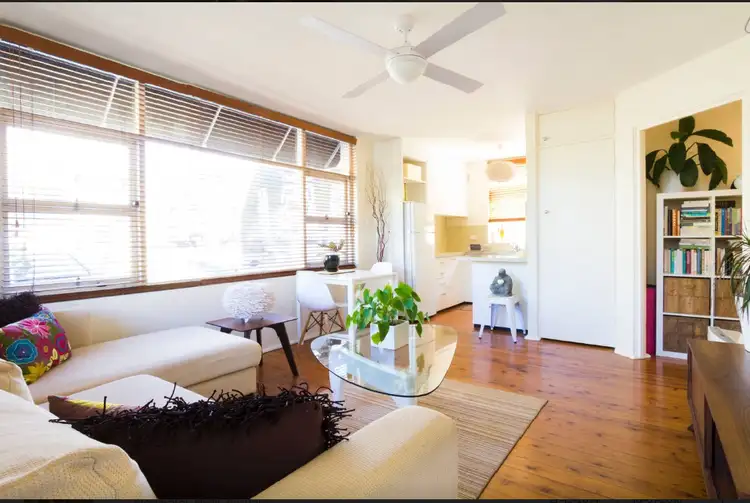 Main view of Homely unit listing, 1/23 Wilson Street, Freshwater NSW 2096