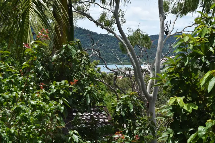 5 Begley Street, Airlie Beach QLD 4802