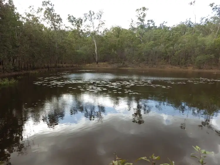 Second view of Homely house listing, 43242 Bruce Highway, Colosseum QLD 4677