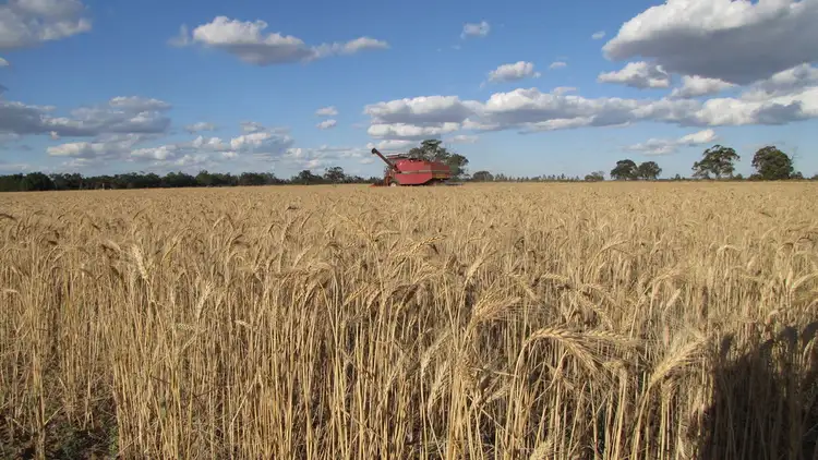 Sixth view of Homely rural property listing, 993 Hardings Road, Picola VIC 3639