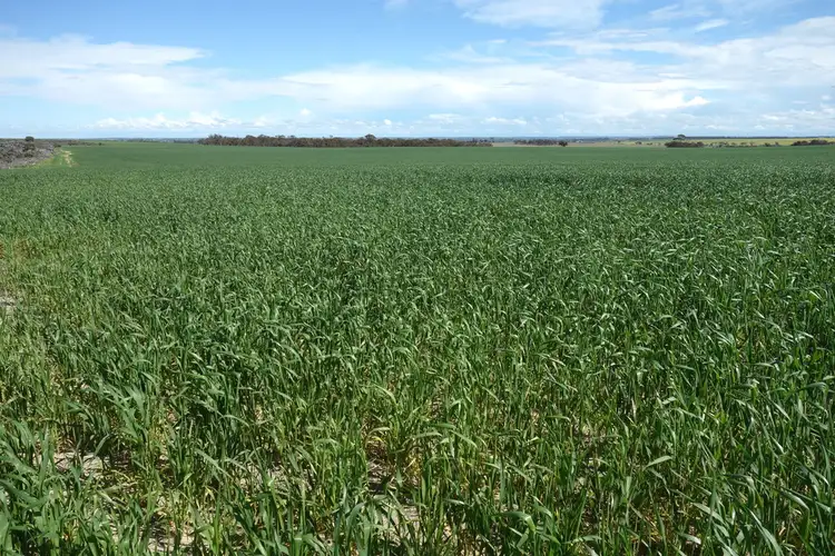 Seventh view of Homely rural property listing, Address available on request