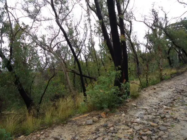 Third view of Homely land listing, 27-29 Salisbury Avenue, Mount Victoria NSW 2786