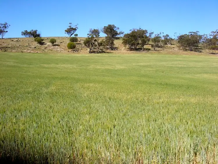 Sixth view of Homely rural property listing, Address available on request