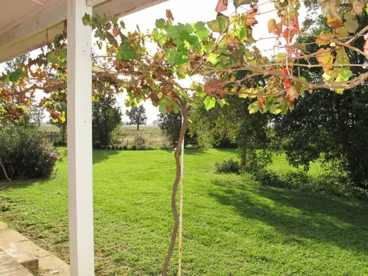 Fifth view of Homely rural property listing, 2764 McGrane Way, Narromine NSW 2821