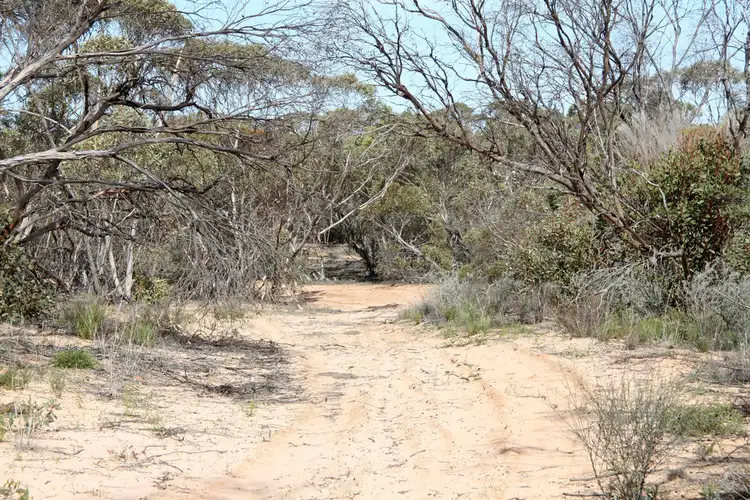 Sixth view of Homely rural property listing, Section 13 Hundred of Billiatt, Alawoona SA 5311