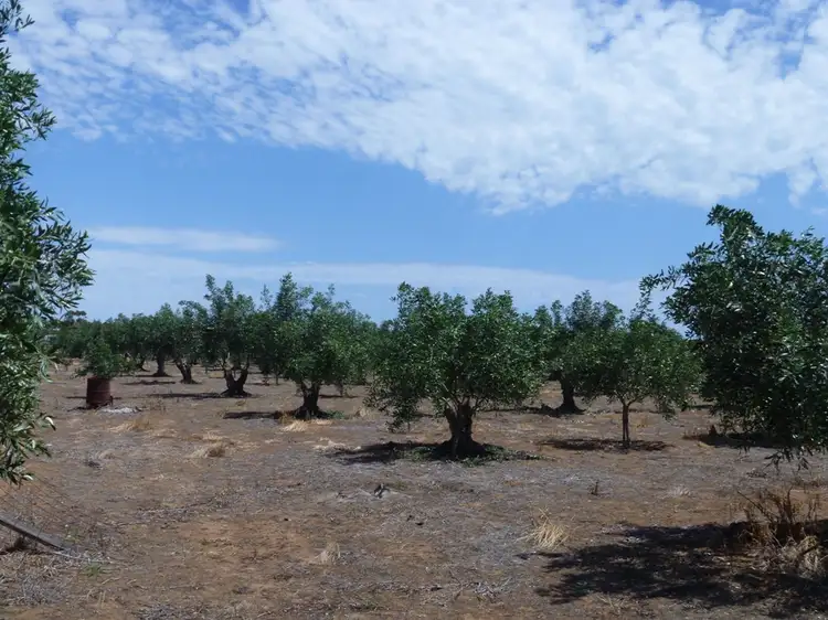 Second view of Homely land listing, LOT 202 ARTESIAN ROAD, Two Wells SA 5501