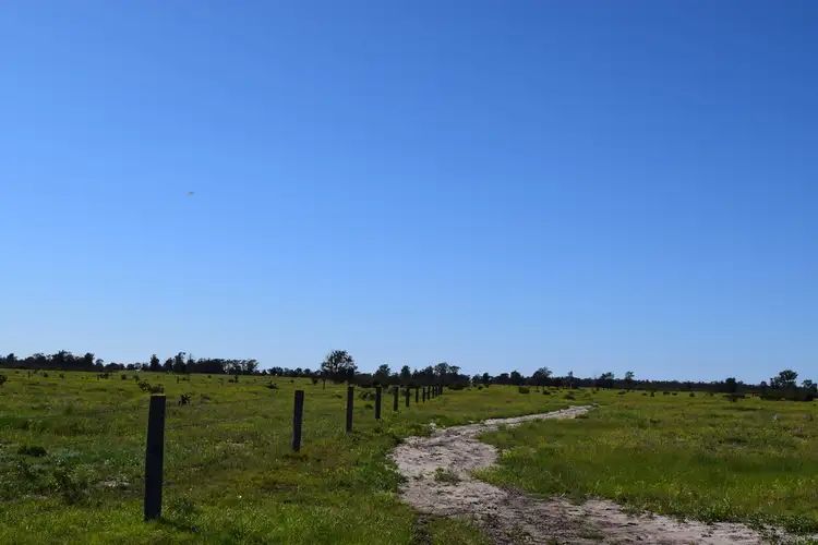 Fourth view of Homely rural property listing, " Lee Three ", Meandarra QLD 4422