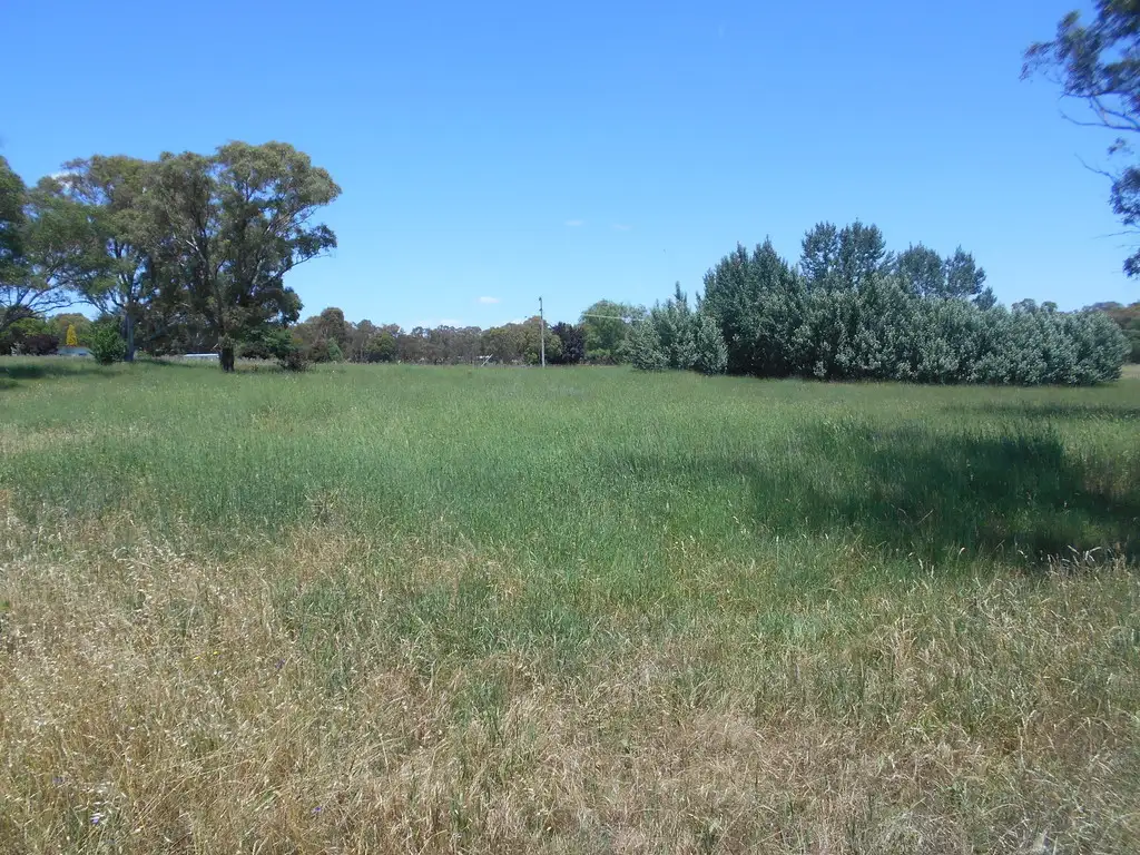 Main view of Homely rural property listing, 4701 Olypmic Highway, Young NSW 2594