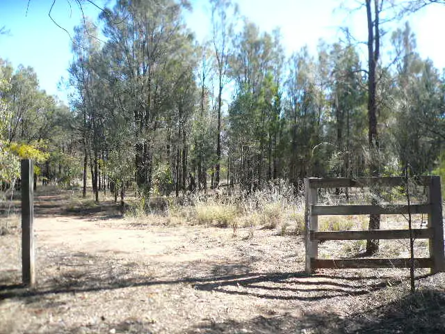 Main view of Homely rural property listing, 291 FORESTRY ROAD, Weranga QLD 4405