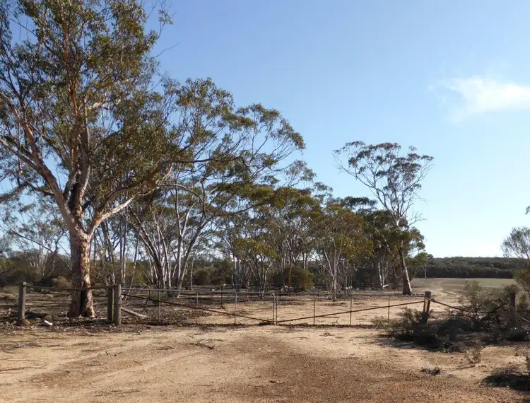 Fourth view of Homely rural property listing, Lot 1395 Westonia Road, Bodallin WA 6424