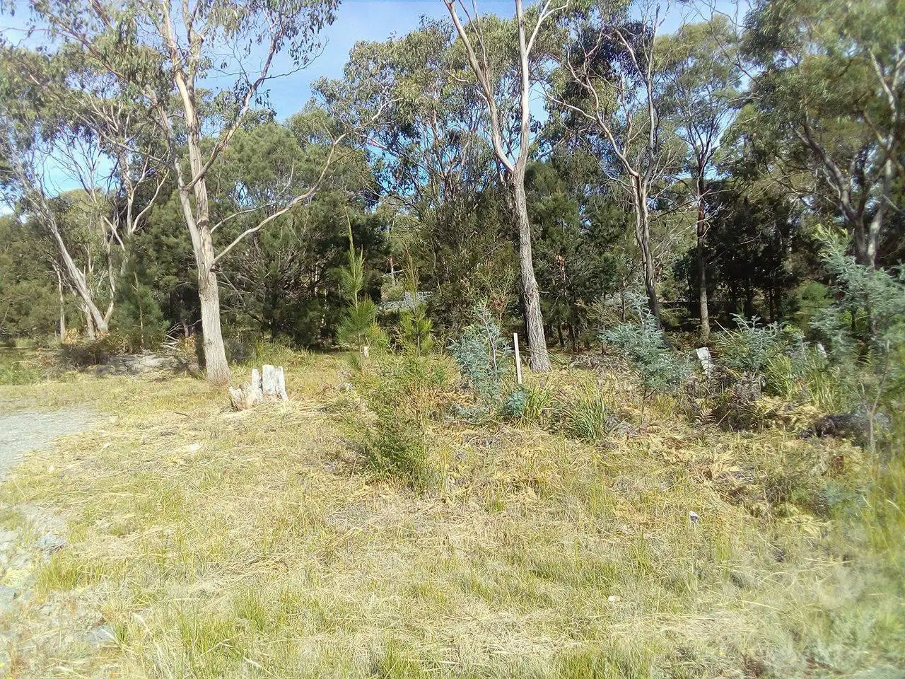 Main view of Homely land listing, Lot 1 Dodges Hill Road, Dodges Ferry TAS 7173