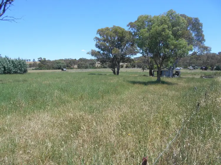 Sixth view of Homely rural property listing, 4701 Olypmic Highway, Young NSW 2594