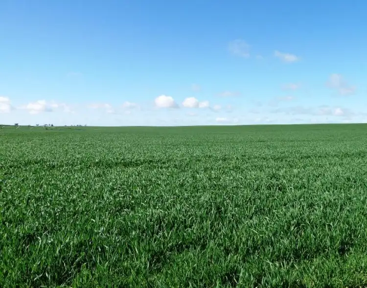 Fifth view of Homely rural property listing, Section 38 Hundred of Gordon, Loxton North SA 5333