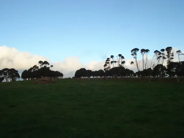 Fourth view of Homely rural property listing, . Grassy Road, Lymwood, King Island TAS 7256