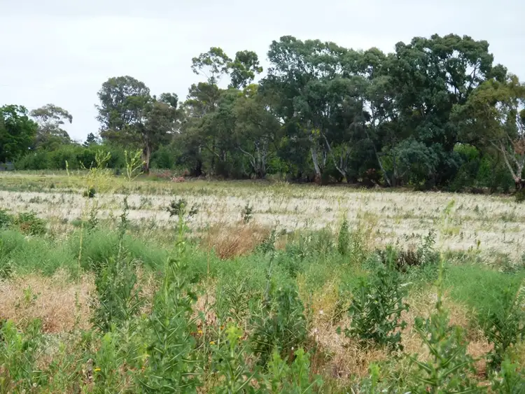 Fourth view of Homely land listing, 2 Bookpurnong Road, Loxton SA 5333