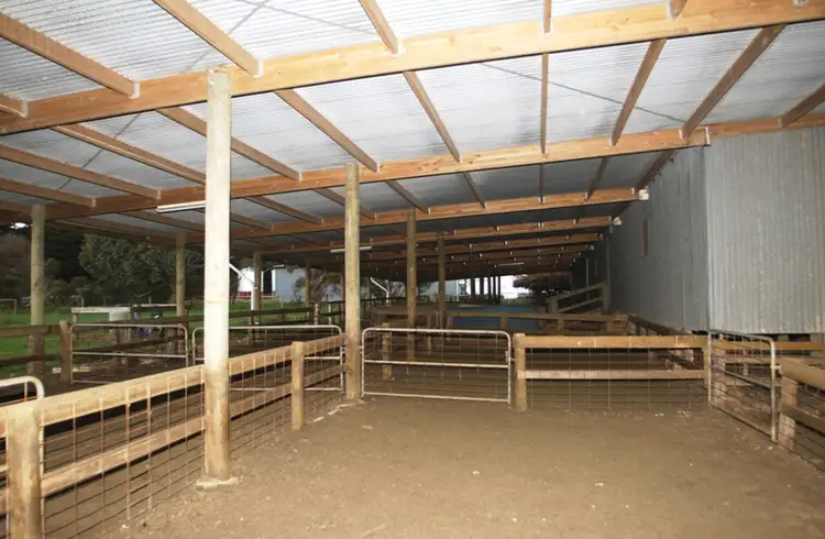 Sixth view of Homely rural property listing, 342 Kerrs Road, Macarthur VIC 3286