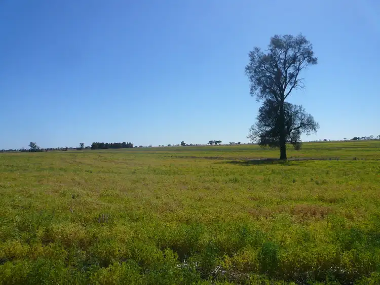 Nicholson Road, Boolite via, Warracknabeal VIC 3393