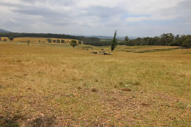 Second view of Homely rural property listing, Lot 1 / 515 Bullumwaal Road, Mount Taylor VIC 3875
