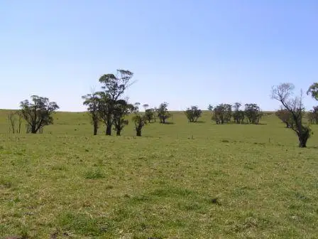 Seventh view of Homely rural property listing, Address available on request