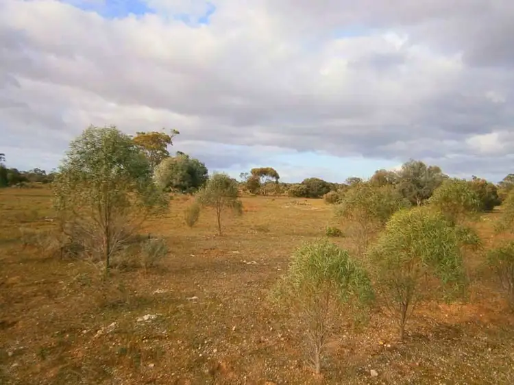 Main view of Homely rural property listing, Section 208 & 209 Stott Highway, Swan Reach SA 5354