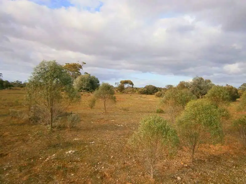 Main view of Homely rural property listing, Section 208 & 209 Stott Highway, Swan Reach SA 5354