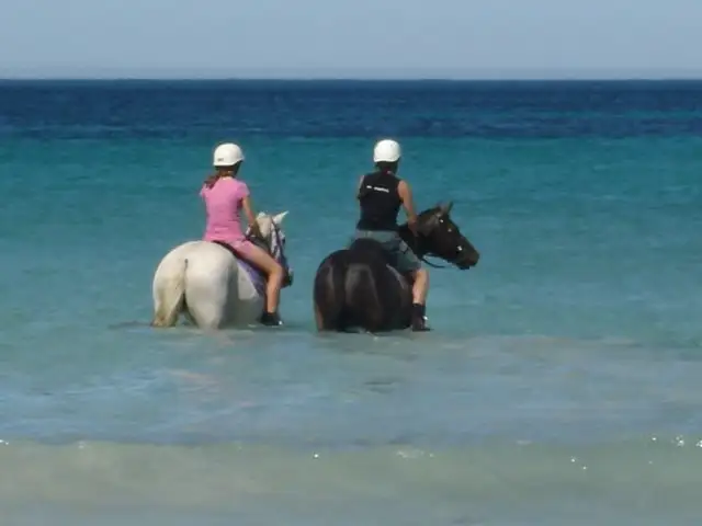 Fourth view of Homely house listing, 1599 North West Coastal Hwy, Buller WA 6532