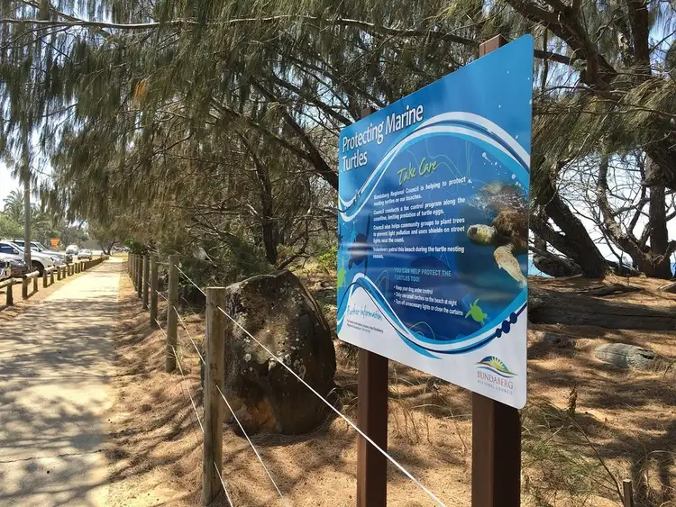 Sixth view of Homely house listing, 17 Bussey Street, Bargara QLD 4670