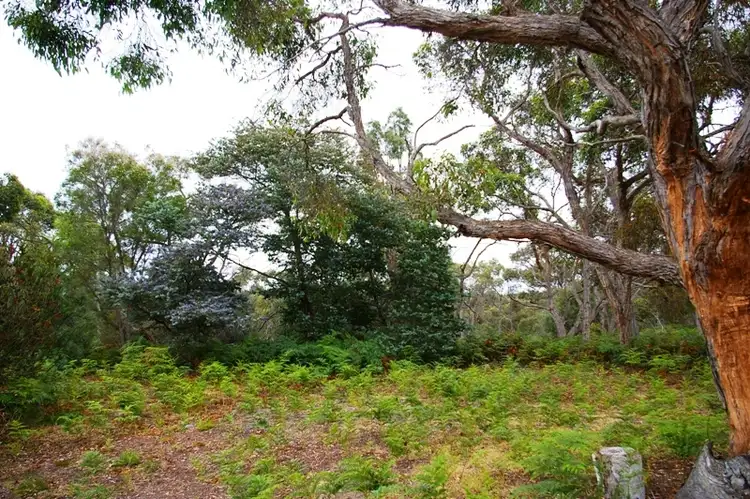 Third view of Homely rural property listing, 425 Patchings Road, Casterton VIC 3311