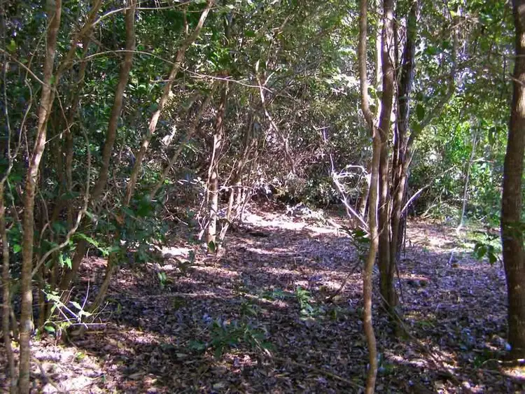 Seventh view of Homely land listing, 7 Fingerfield Road, Rules Beach QLD 4674