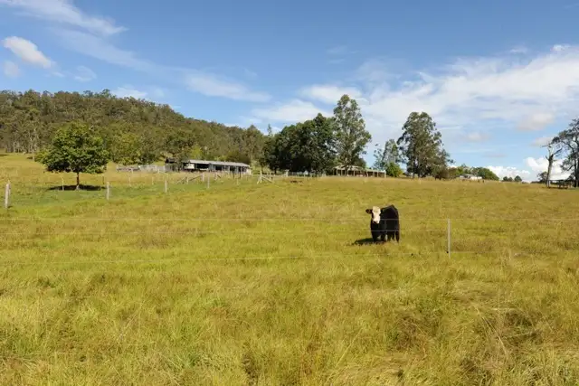 Third view of Homely rural property listing, 39 Cattle Creek Road, Ramornie NSW 2460
