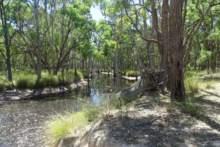 Fourth view of Homely rural property listing, Lot 4 Bonnie Doon Road, Leyburn QLD 4365