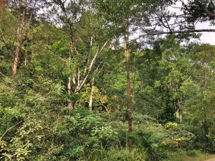 Third view of Homely rural property listing, 496 Gungas Road, Nimbin NSW 2480