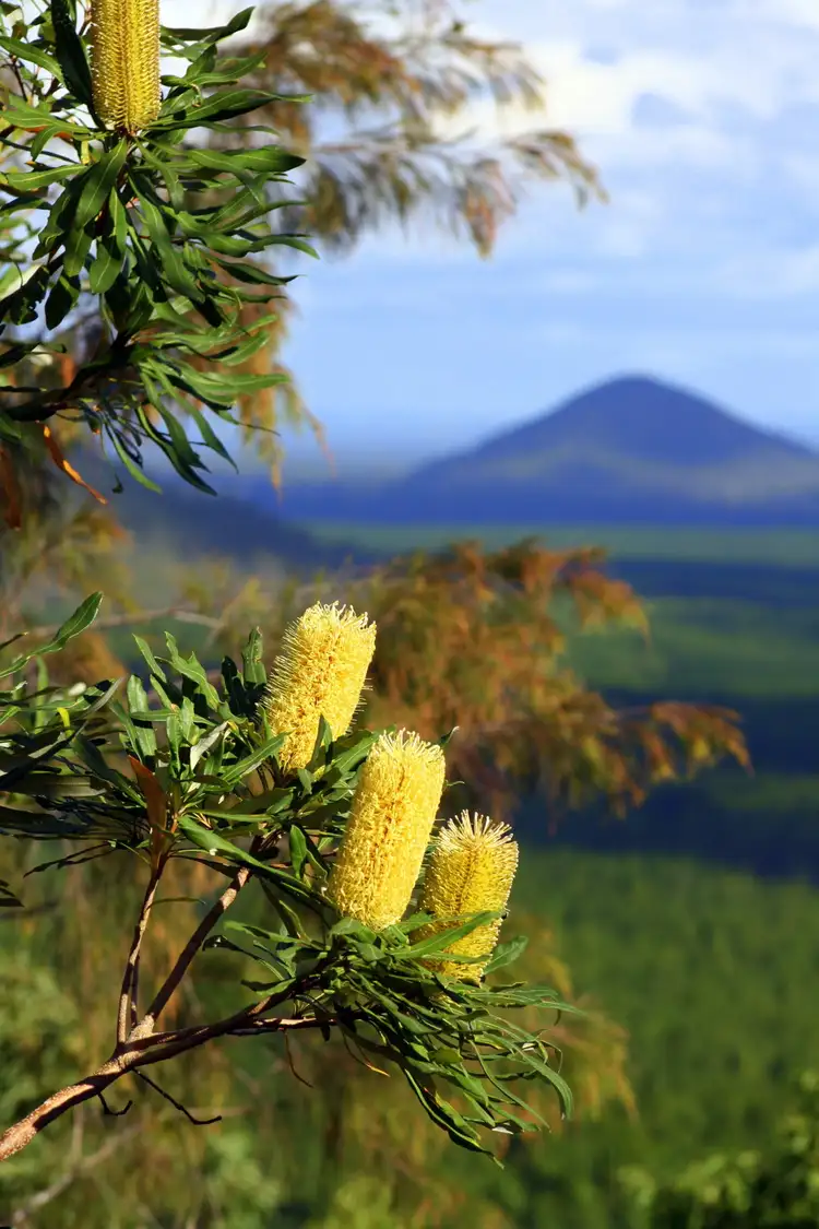 Sixth view of Homely land listing, Lot 77 Culgoa Court, Beerwah QLD 4519