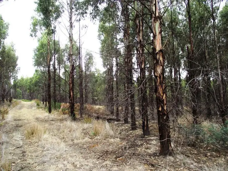 Seventh view of Homely rural property listing, 70 Blue Hills Road, Copping TAS 7174