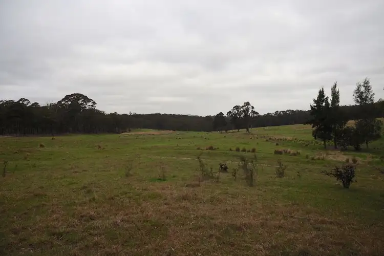 Sixth view of Homely rural property listing, 159 Blackmans Creek Road, Hartley NSW 2790