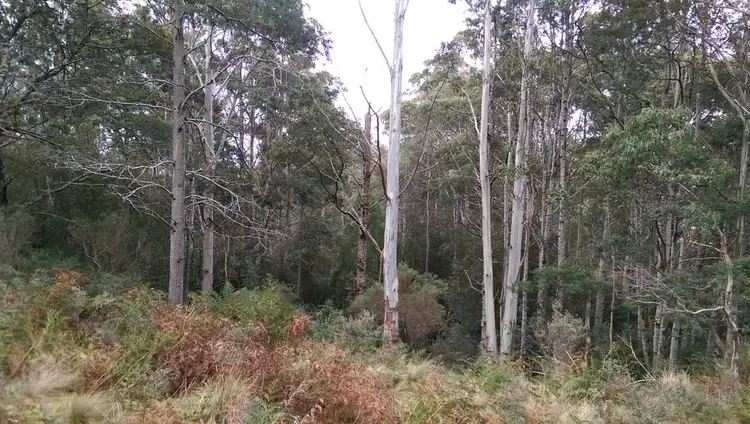 Third view of Homely rural property listing, lot 2/600 Mount Barrow Rd, Nunamara TAS 7259