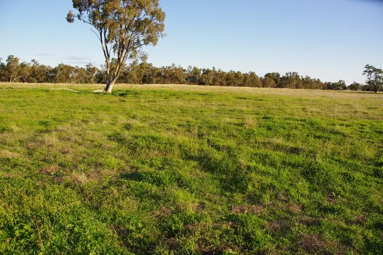 Main view of Homely rural property listing, 5L Gilgandra Road, Brocklehurst NSW 2830
