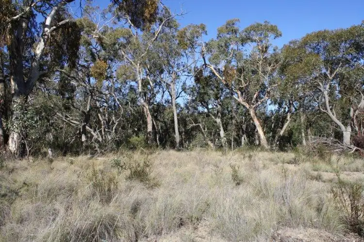 Seventh view of Homely rural property listing, Lot 1 Craigs Rd, Taralga NSW 2580
