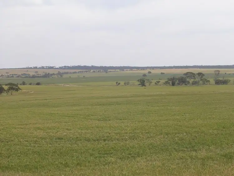 Sixth view of Homely rural property listing, LOCATION 18370 BROWN RD, Kellerberrin WA 6410