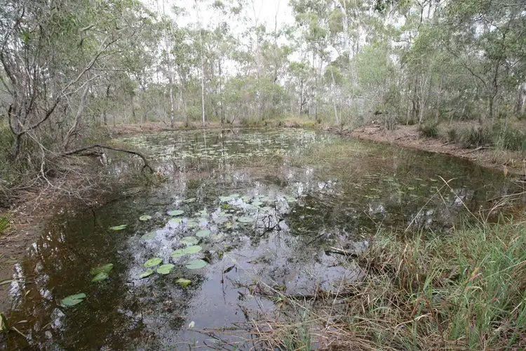 Second view of Homely rural property listing, 400 Reads Rd, Avondale QLD 4670