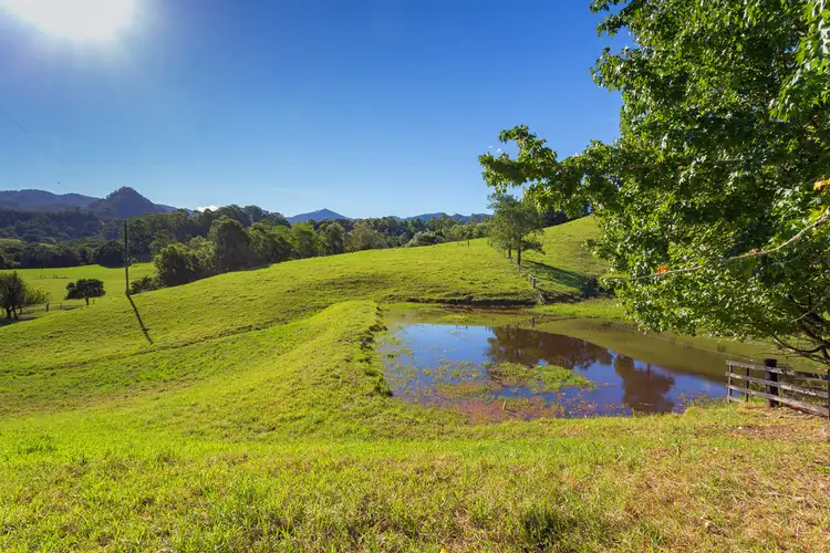 Sixth view of Homely rural property listing, 226 Mount Coxcombe Road, Upper Lansdowne NSW 2430