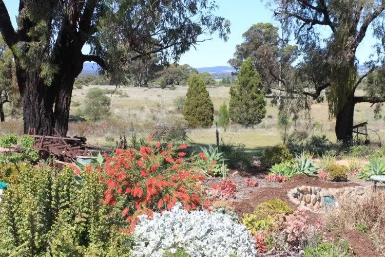 Sixth view of Homely house listing, "Sunny Brae" Cooka Hills Road, Parkes NSW 2870