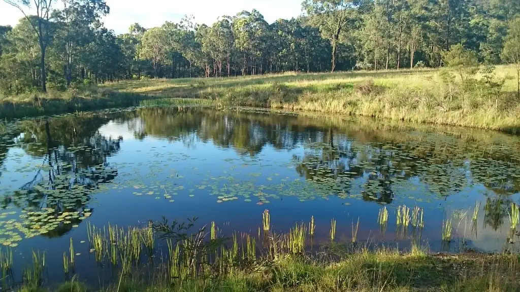 Main view of Homely rural property listing, Address available on request