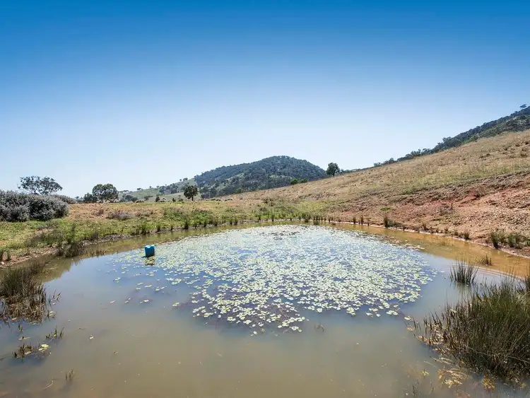 Second view of Homely rural property listing, 263 Beragoo Road, Mudgee NSW 2850