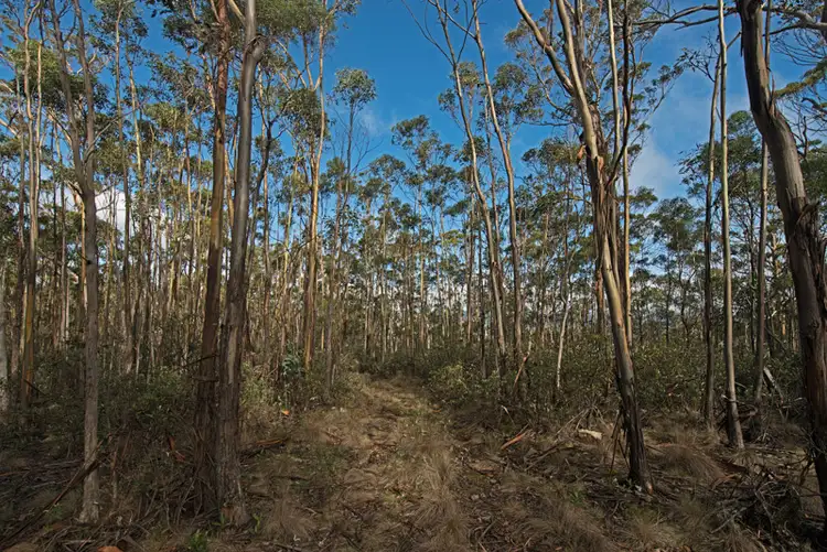 Fourth view of Homely land listing, Lot 5 Cousens Road, Glenlusk TAS 7012