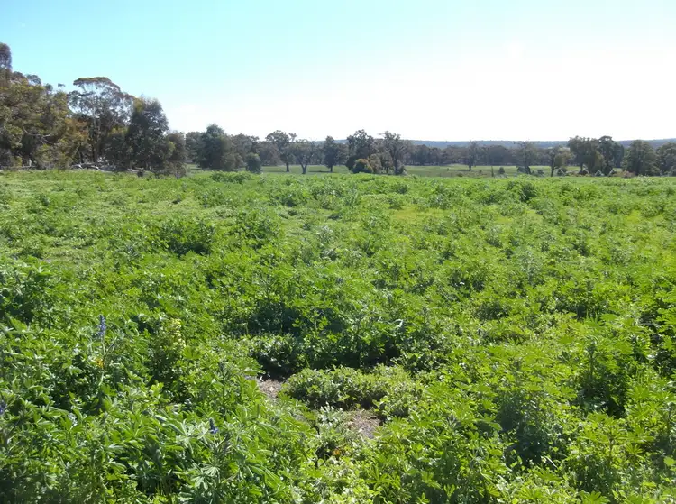 Third view of Homely land listing, Lot 404 Brushtail Brow, Bakers Hill WA 6562