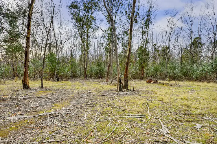 Fifth view of Homely land listing, 107 Inala Road, Forcett TAS 7173
