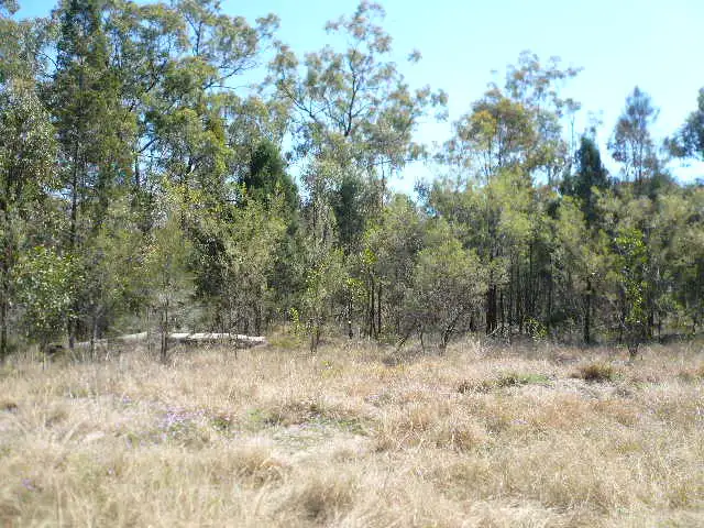Lot 81 WESTVALLEY ROAD, Tara QLD 4421