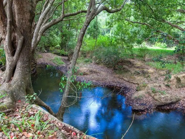 Fourth view of Homely house listing, 43 Middle Creek Road, Federal QLD 4568