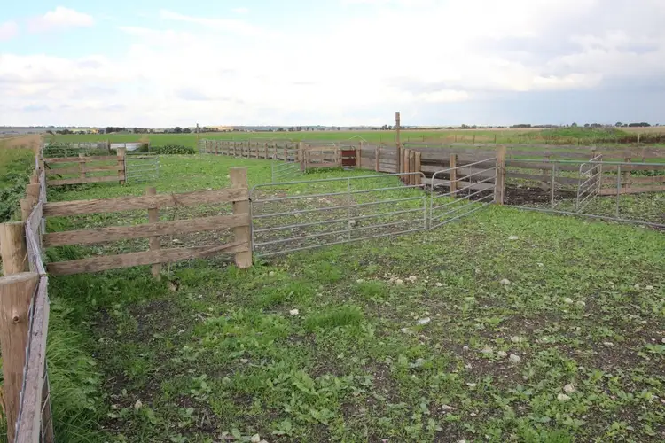 Sixth view of Homely rural property listing, 167 Settlers Road, Naracoorte SA 5271